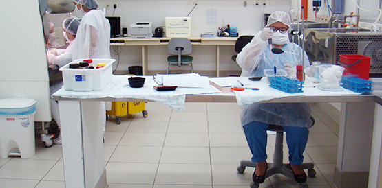 Banner semana doacao leite hgf2